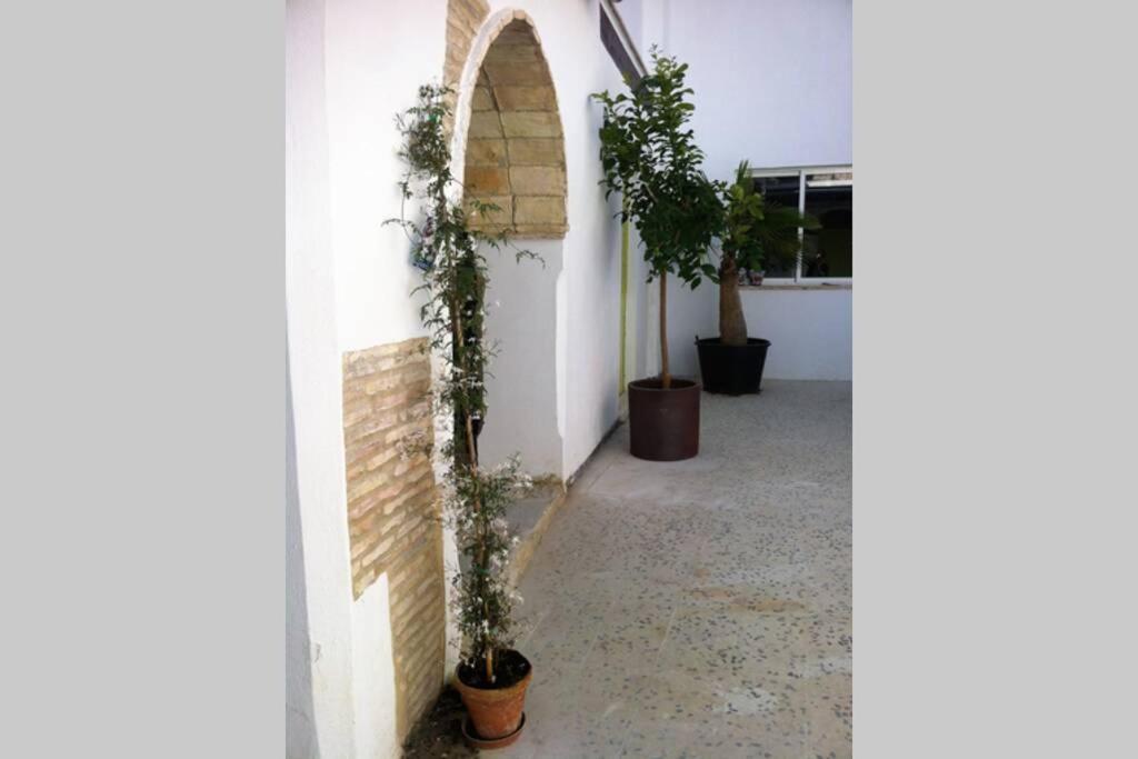 Casa Florinda #7 Apartment เฮเรซ เด ลาฟรอนเตรา ภายนอก รูปภาพ